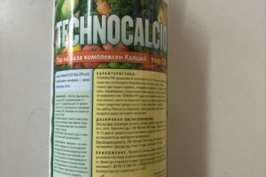 Technocalcio 